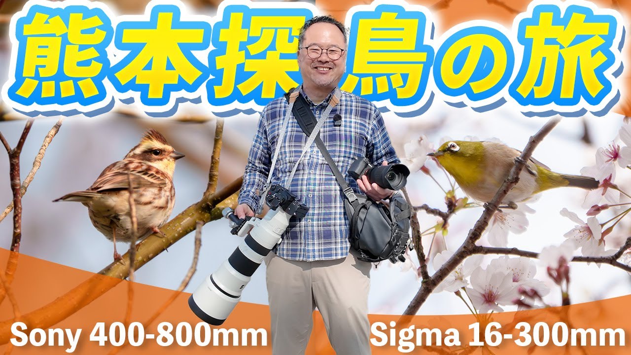 換算24-800mm！超望遠＆高倍率ズームレンズで熊本探鳥の旅！【Sony FE 400-800mm F6.3-8 G OSS & Sigma 16-300mm F3.5-6.7 DC OS】