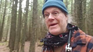 Sound Scouting In The Cedar Swamp