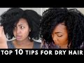 My Top 10 Tips on How to Moisturize Dry Hair during the Winter | Natural Hair