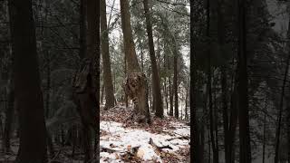 Frozen In Time  cinimatography michigan winter