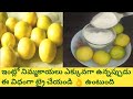 Lemon juice powder /lemon juice premix /lemon juice powder mix /how to make lemon powder