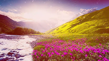 سورة يونس بصوت جميل وعذب القارئ عبدالله الخلف #القرآن_الكريم