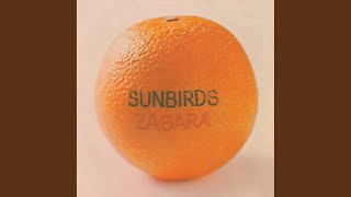Video thumbnail of "Sunbirds - Still Pointing"