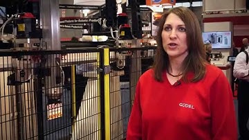 Güdel - 2-axis Linear Motion Type ZP