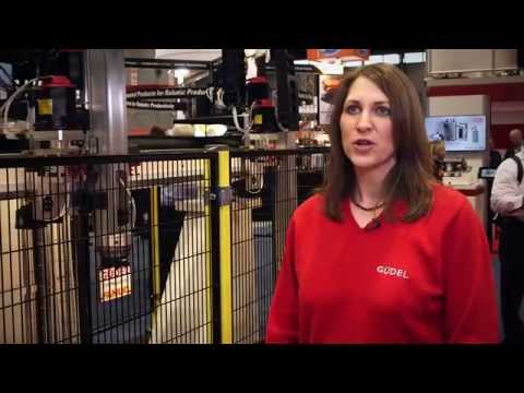 Güdel 2 Axis Linear Motion Type ZP