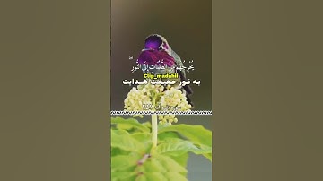 سوره مبارکه بقرة آیه 257
