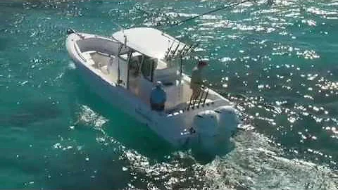 Everglades 295 Pilot