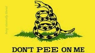 Image result for don t tread on me flag