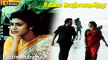 Pattimandram Pattimandram HD | S.P.B | Shankar–Ganesh | Urimai Oonjaladugiradhu | Tamil Hits