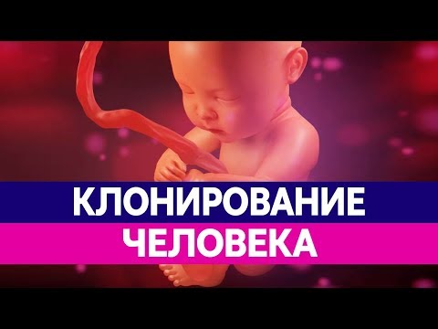 КЛОНИРОВАНИЕ ЛЮДЕЙ. Чем опасно клонирование человека и клонирование животных?