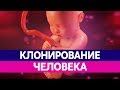 КЛОНИРОВАНИЕ ЛЮДЕЙ. Чем опасно клонирование человека и клонирование животных?