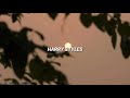 Harry Styles - Lights Up (Sub. Español)