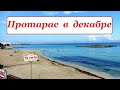 Протарас Кипр Декабрь 2022