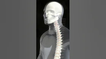 Did You Know This About Our Bones 