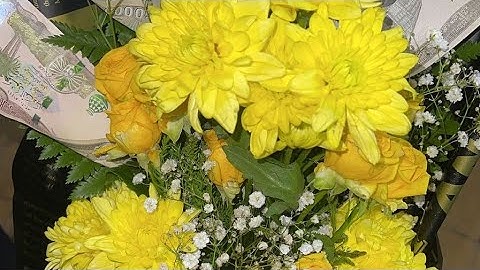 تحضيرات المجلس بيت أهلي واجانا ضيوف فجأة 🕊️🕊️