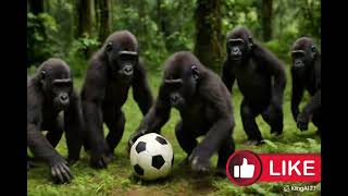 The Rise of Gorilla Footballers | Jungle Champions ⚽🐵