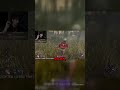 zerbs banned chat in dbd