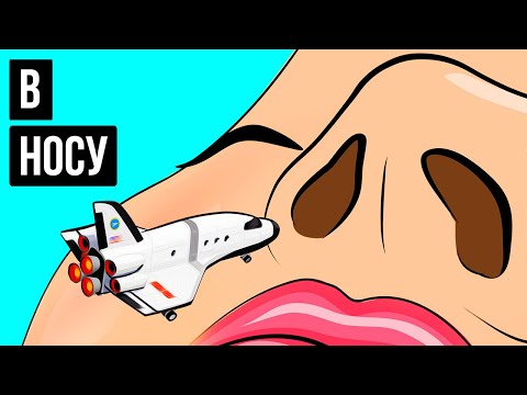 Видео: Означава ли думата нос?