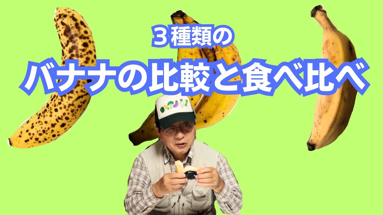 3種類のバナナの比較をしてみました【国産バナナ】【アップルバナナ