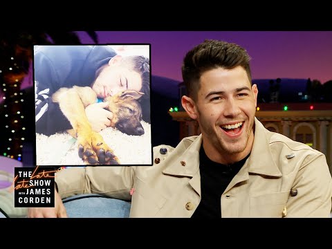 Nick Jonas & Priyanka Chopra's Dogs Have IG Beef