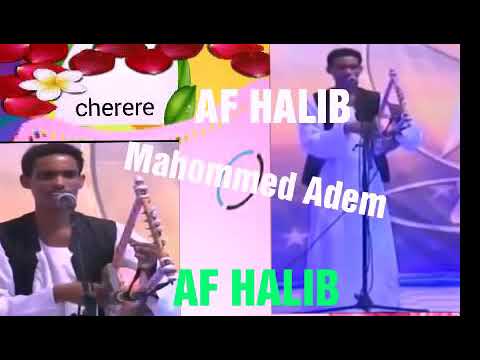 Mohamed Adem Af Hlib