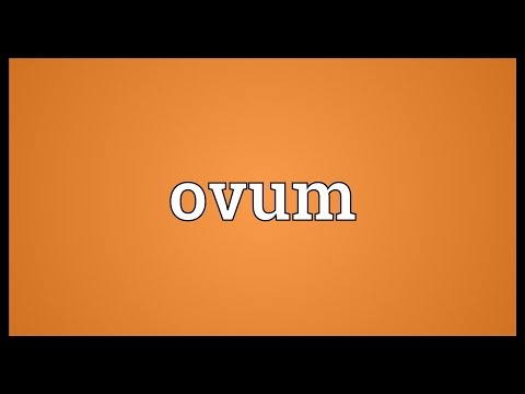 Ovum Meaning