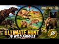 Sniper Animal Hunting Simulator Gameplay | Lion vs Bear vs Hyena