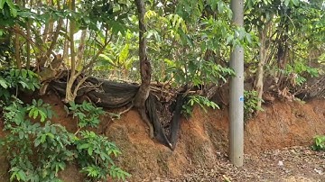 Góc 2 mặt tiền View Hồ Đá Bàng. Đá Bạc Châu Đức BRVT. AC Cô Chú xem qua.Khu vực toàn view nghĩ dưỡng