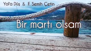 Yol'a Düş & F. Semih Çetin ~ Bir Martı Olsam