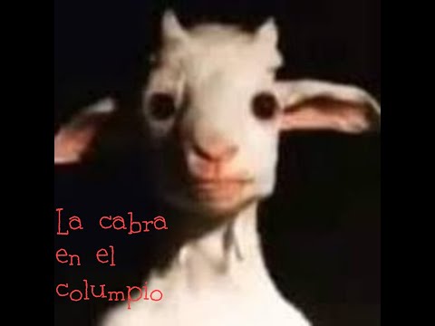 La cabra en