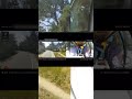 Suspected DUI driver crashes into tour bus full of people on 17-Mile Drive