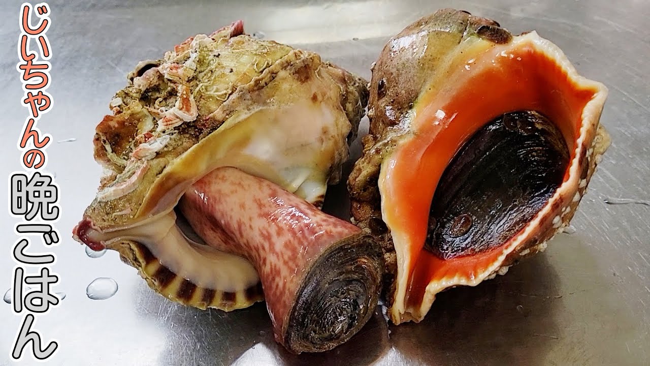爺ちゃんの晩ご飯】毒がある！？ホラガイとアカニシガイのダブル貝