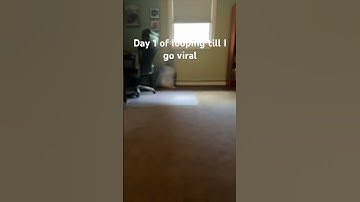 Day 1 of looping till I go viral #loop