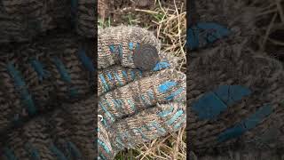 #Коп монет.Омейядский халифат(~700-800г.н.э)