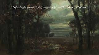 Paganini, 24 Caprices, Op. 1 : No. 24 in A Minor but it's 0.7 slower (you're hunted by the devil)