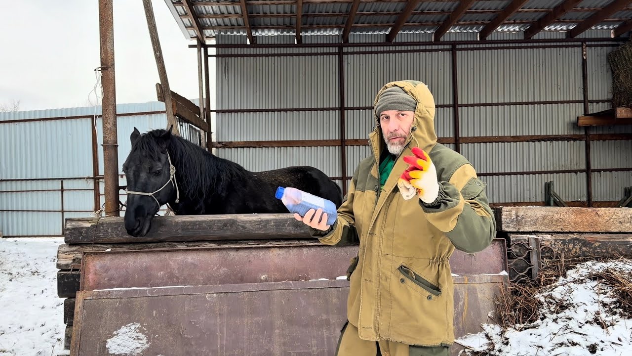 Сироп от Кашлей Лошади,и Порошок для Глистования Как довать!