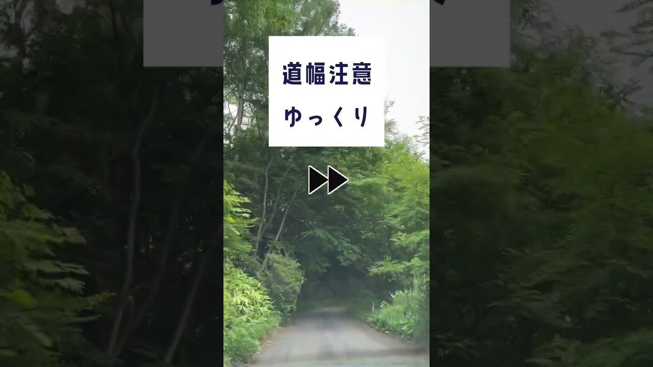 ハーモニーの家までの道