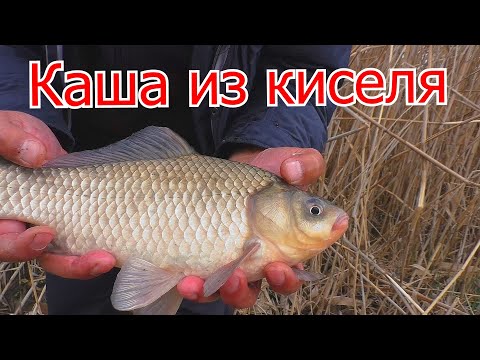 Самодельная каша для весенней рыбалки из киселя . Прикормка для ловли карася весной . My fishing