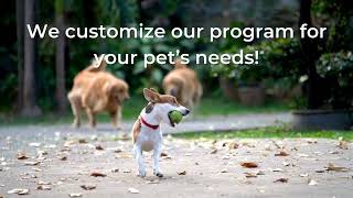 Pet s Favorite Play Place - Spartanburg SC
