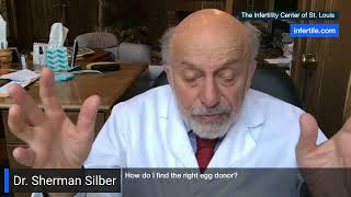 Dr. Silber - How do I find the right egg donor?