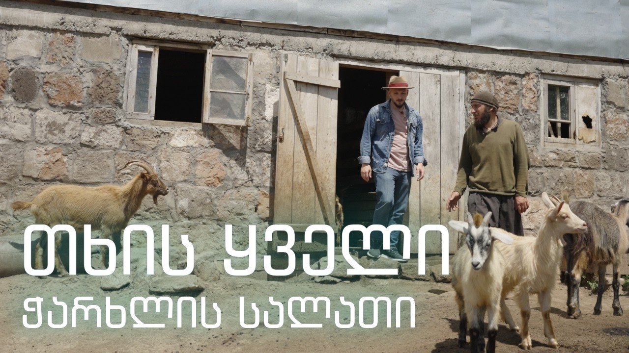 ბერებისგან წამოღებული თხის ყველით მომზადებული, ჭარხლის საოცარი სალათი.