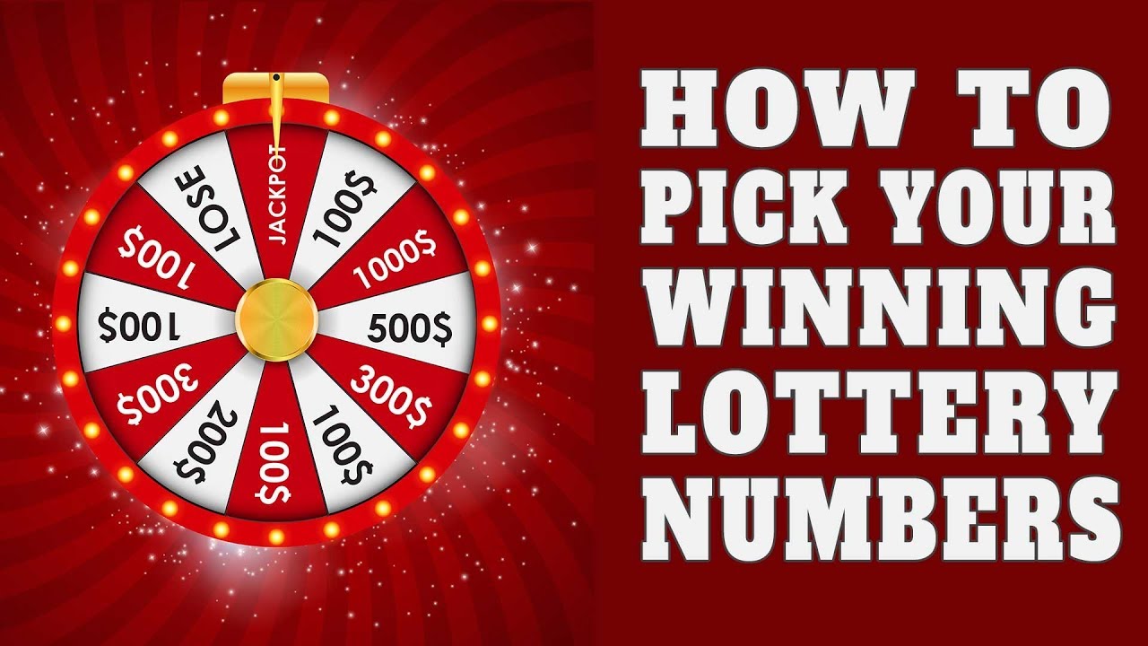 50 lucky numbers and the secret to winning big from lottery players