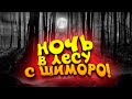 НОЧЬ В ЛЕСУ С ШИМОРО! - СЫНОК И КАМЕРА!