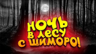 НОЧЬ В ЛЕСУ С ШИМОРО! - СЫНОК И КАМЕРА!