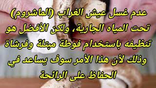 10 عادات ذكية سوف توفّر عليك الكثير من الوقت والجهد في أمورك اليومية