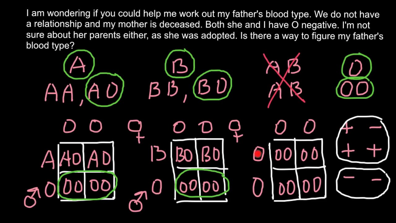 Blood Type Genetics Explained 