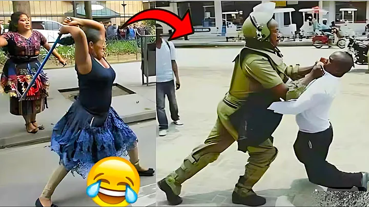 Video 9459821: laugh funny fails cat, cat dog fail funny, cat animal fails funny