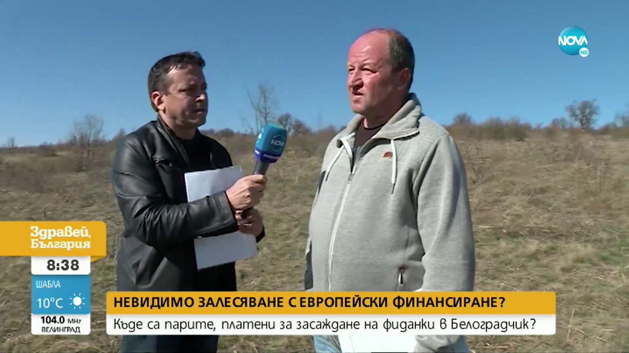 Разследване на NOVA: Къде са парите, платени за засаждане на фиданки в Белоградчик