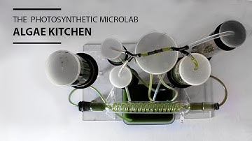 Photosynthetic MicroLab [SYSTEM]  - Final