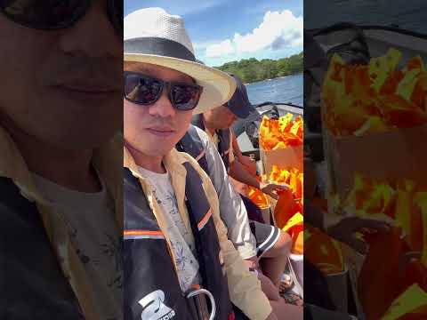 SOLOMON ISLAND santa